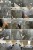 IMG_4842.jpeg
