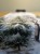 IMG_4803.jpeg