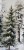 IMG_4808.jpeg