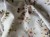 IMG_8466.jpeg