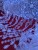 IMG_4304.jpeg
