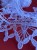 IMG_4330.jpeg