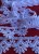 IMG_4357.jpeg