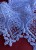 IMG_4379.jpeg