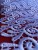 IMG_4499.jpeg