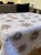 IMG_4845.jpeg