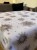 IMG_4843.jpeg