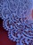 IMG_4516.jpeg