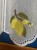 IMG_5667.jpeg