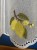 IMG_5667.jpeg