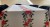 IMG_6122.jpeg