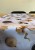 IMG_6031.jpeg